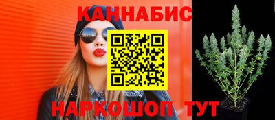 дурь Камышлов