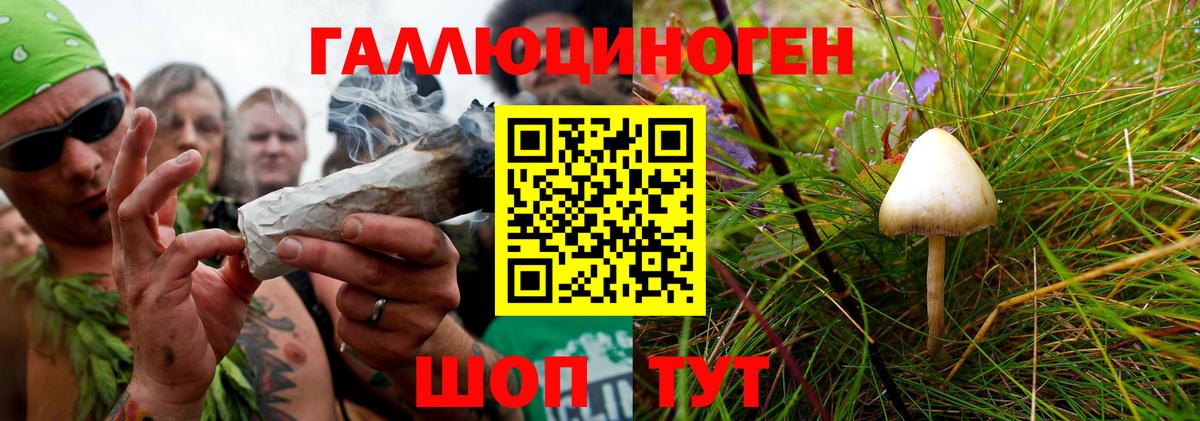 Псилоцибиновые грибы GOLDEN TEACHER Балтийск